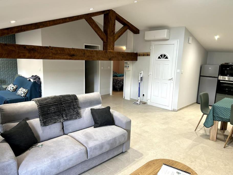 Appartamento Le Cosy Grenier De Pauline Et Flo Cessenon-sur-Orb Esterno foto