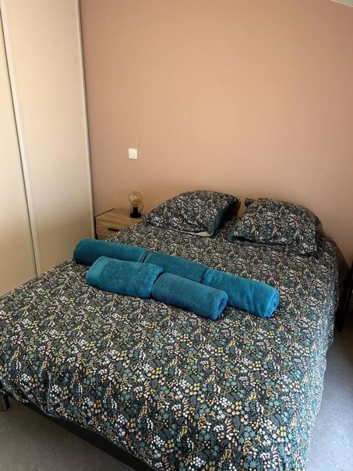 Appartamento Le Cosy Grenier De Pauline Et Flo Cessenon-sur-Orb Esterno foto